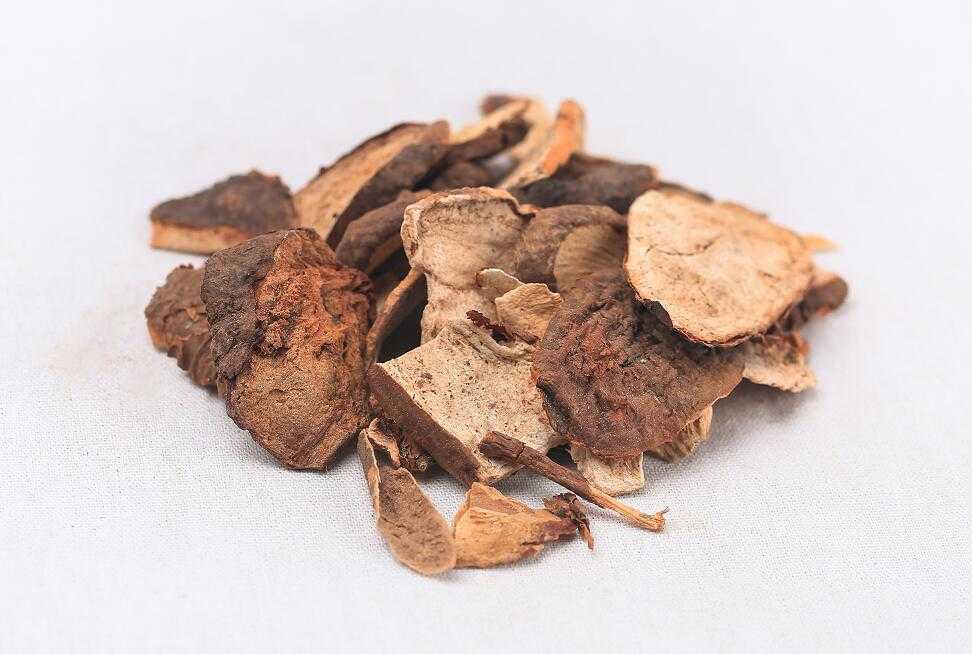 白蔹图片