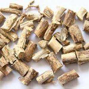 巴豆树根