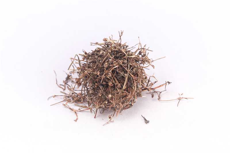 白花蛇舌草