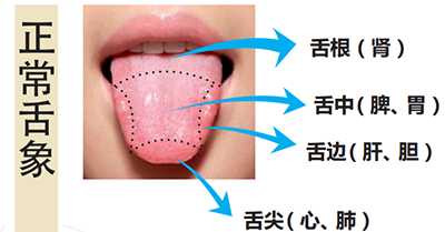 正常舌象与望舌的意义