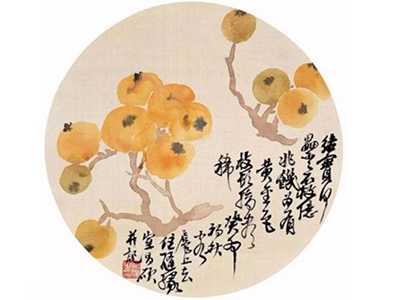 江南枇杷黄似桔