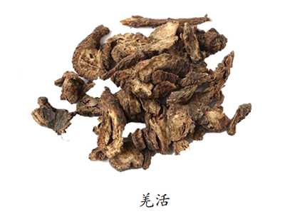羌活与独活之别