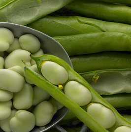 蚕豆荚壳
