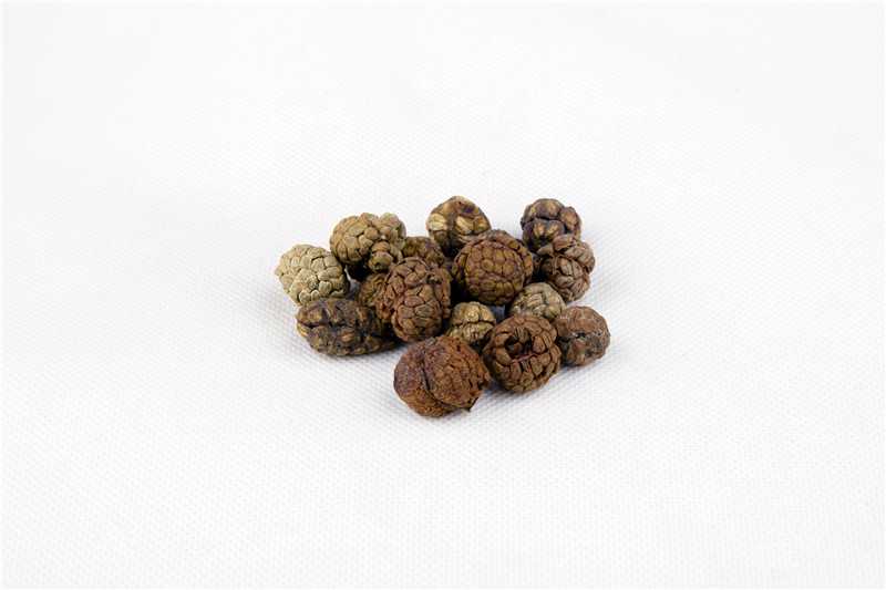 草豆蔻图片