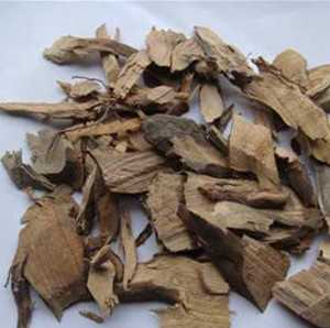 茶树根图片