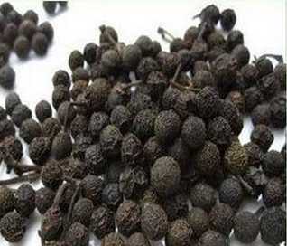 澄茄子图片