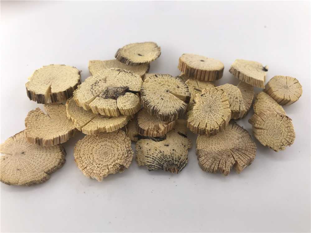 川木通图片