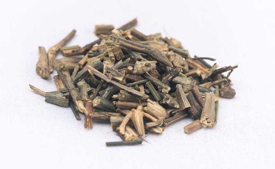穿心莲图片
