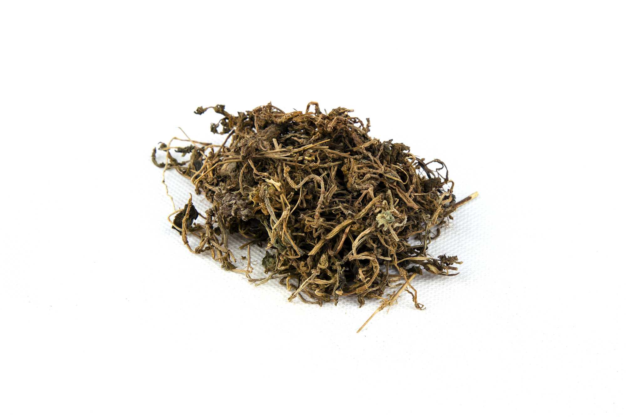 垂盆草图片