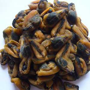 淡菜图片