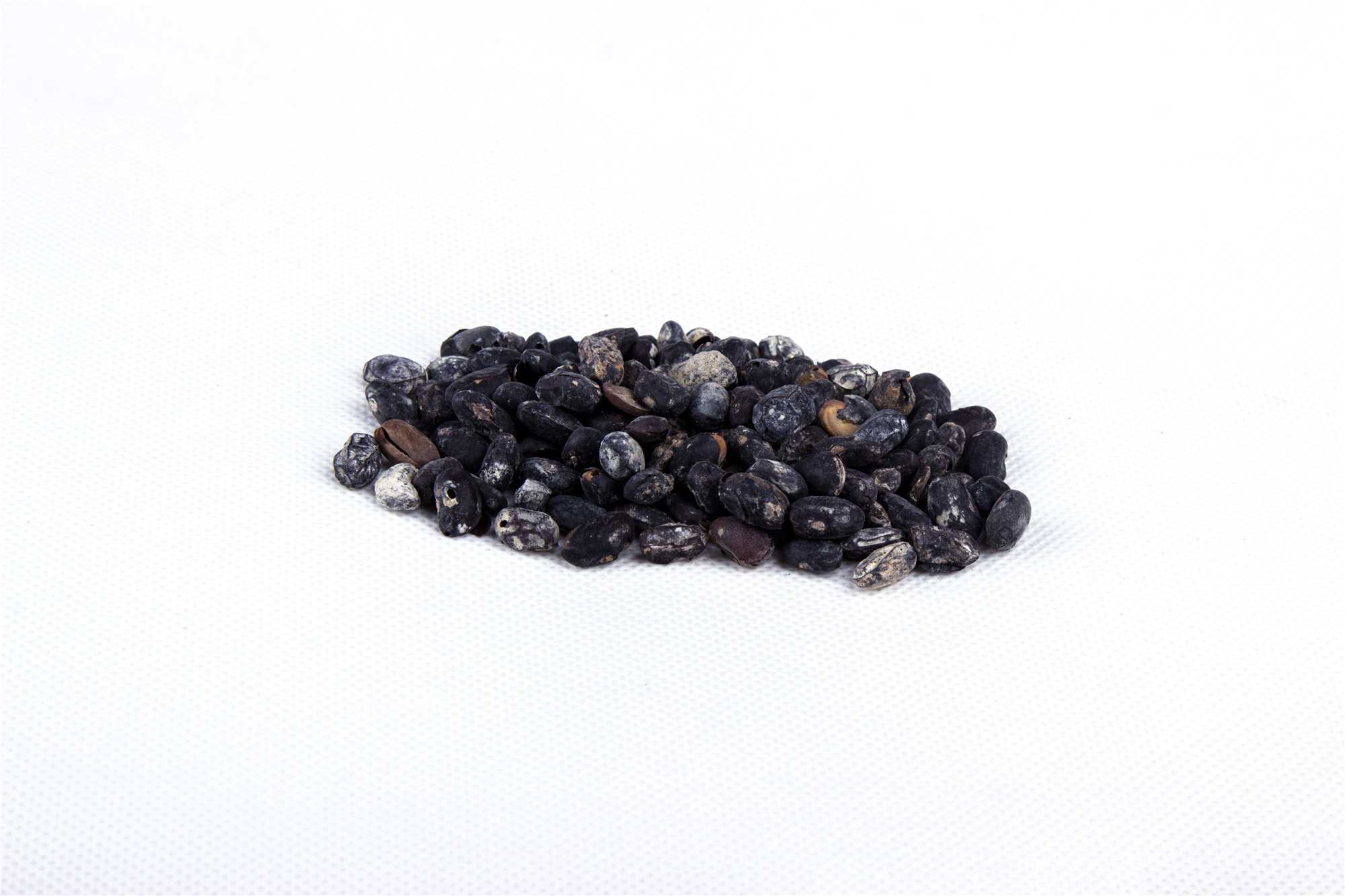 淡豆豉图片