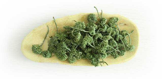 三七花鉴别