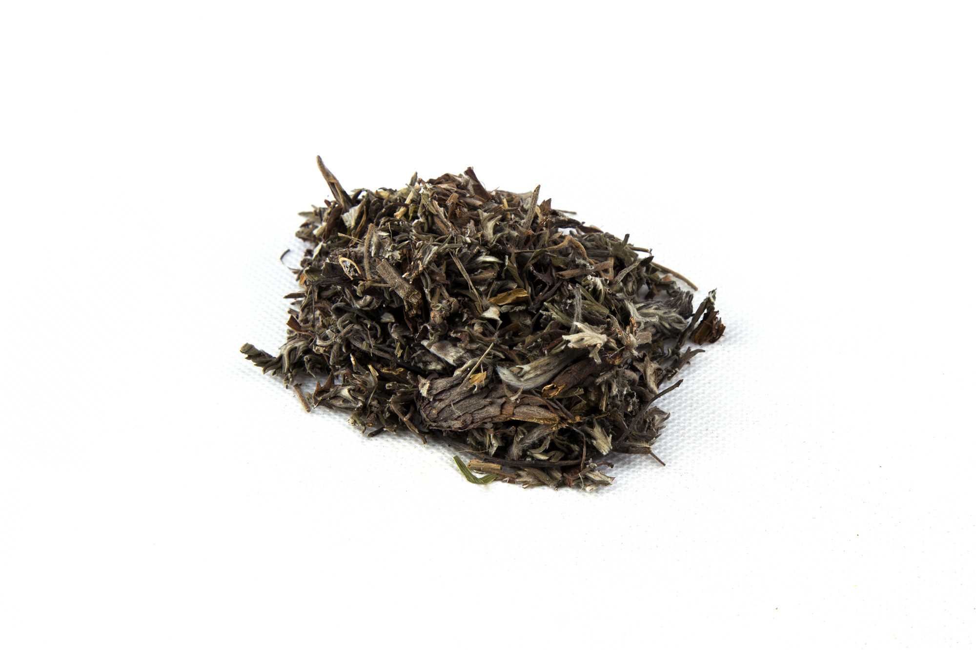 翻白草图片