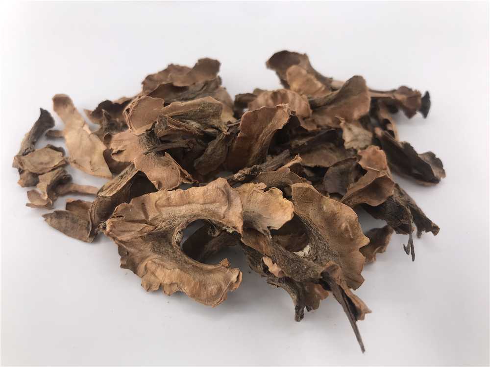 分心木图片