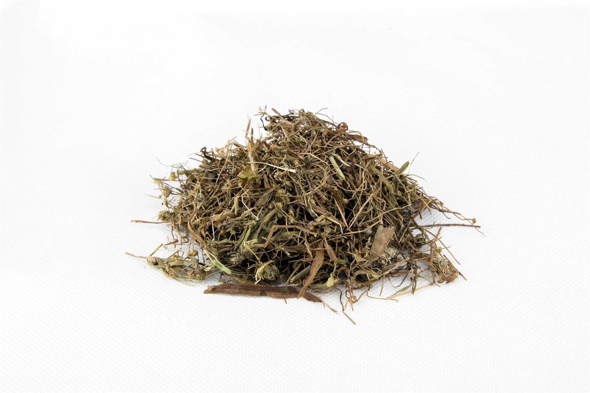 谷精草图片