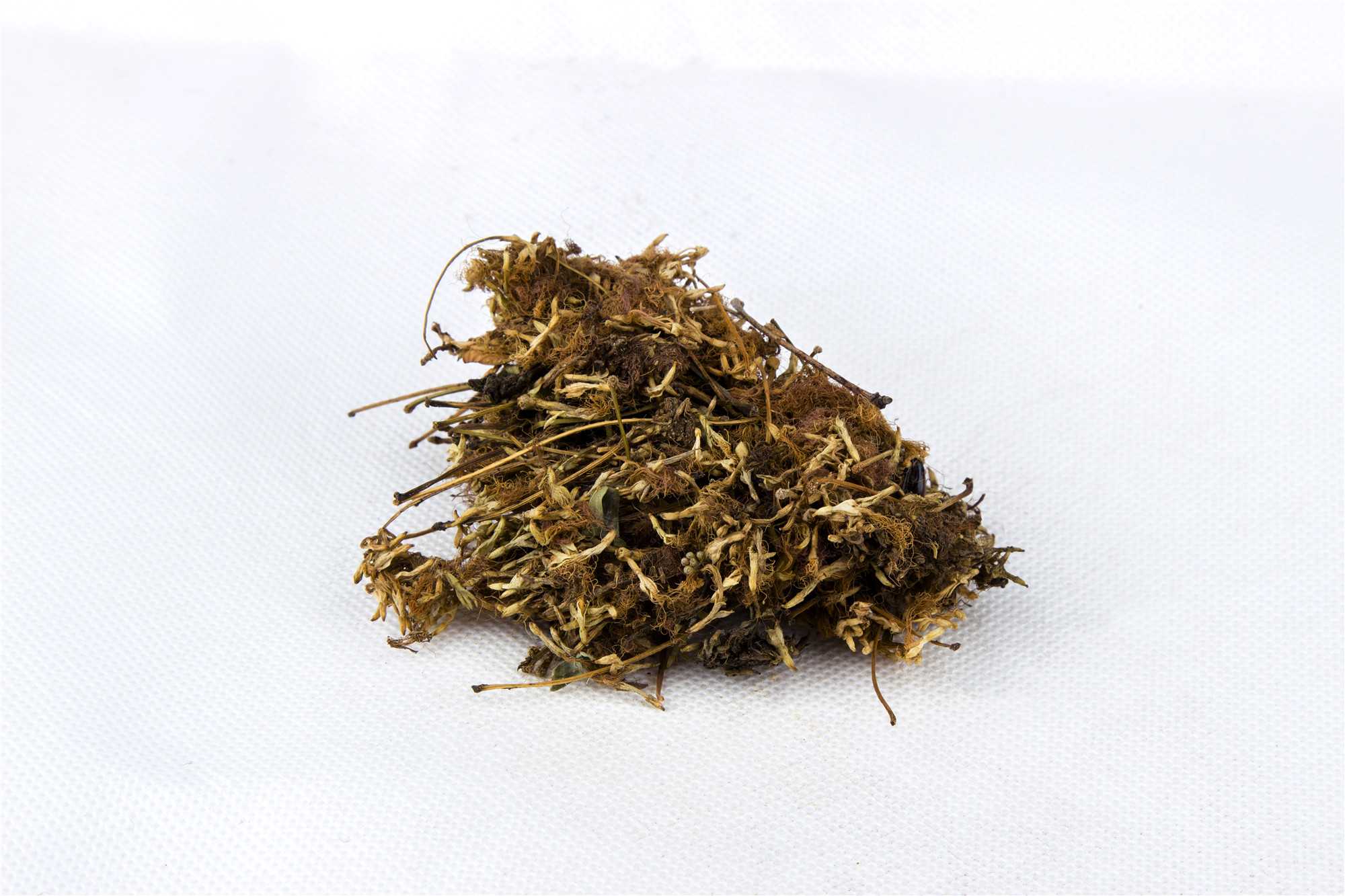 合欢花图片