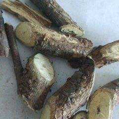 黑老头图片
