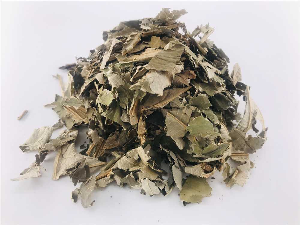 荷叶图片