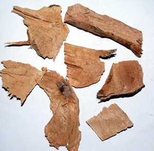 红茴香根图片