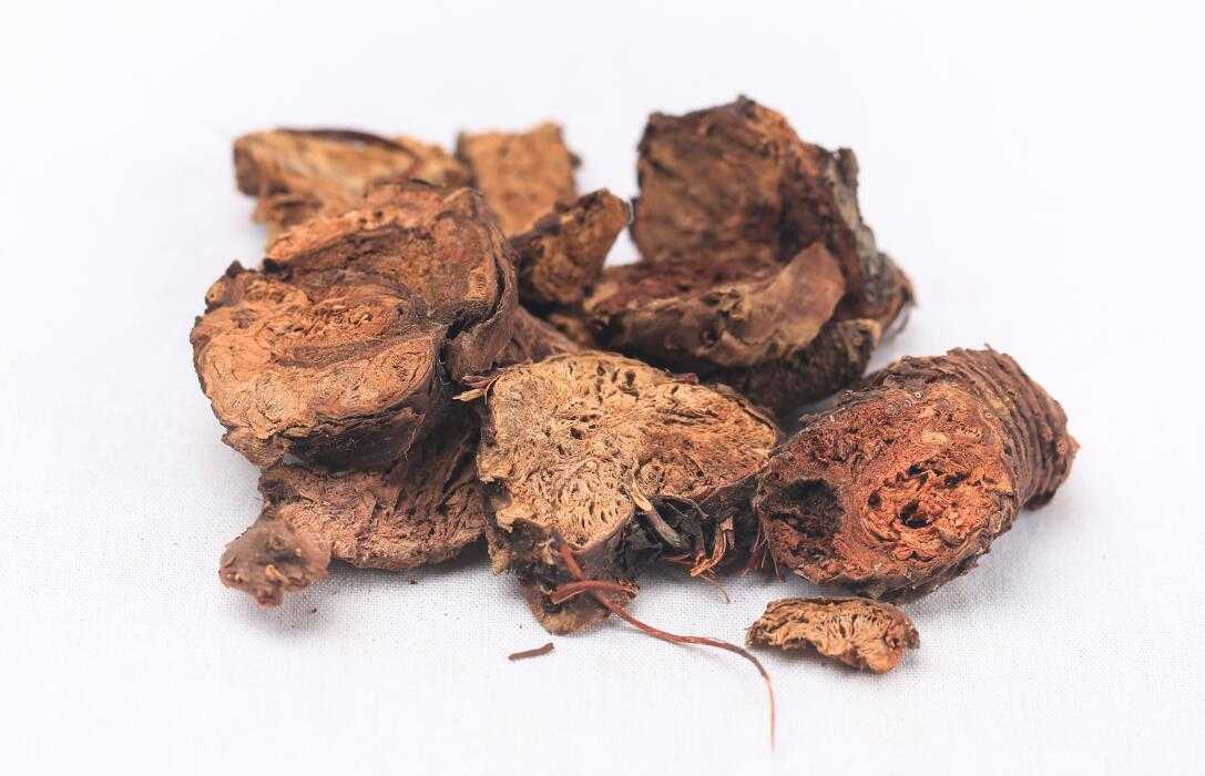 红景天图片