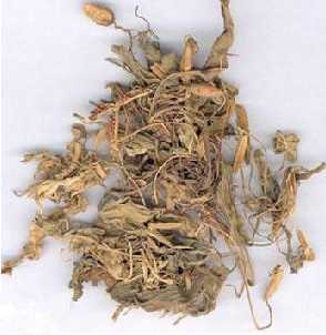 洪连图片