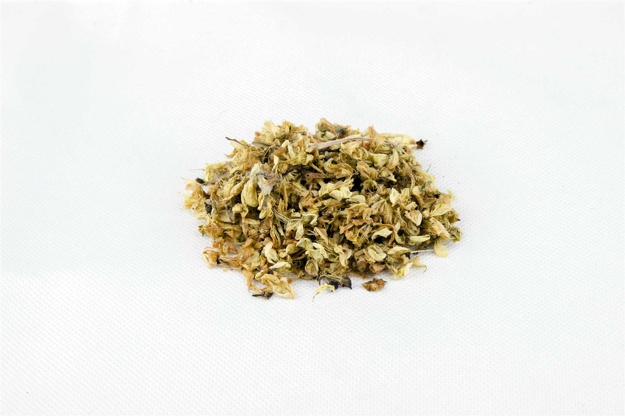 槐花图片