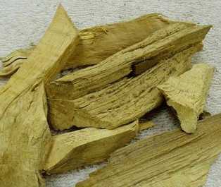 黄皮根图片
