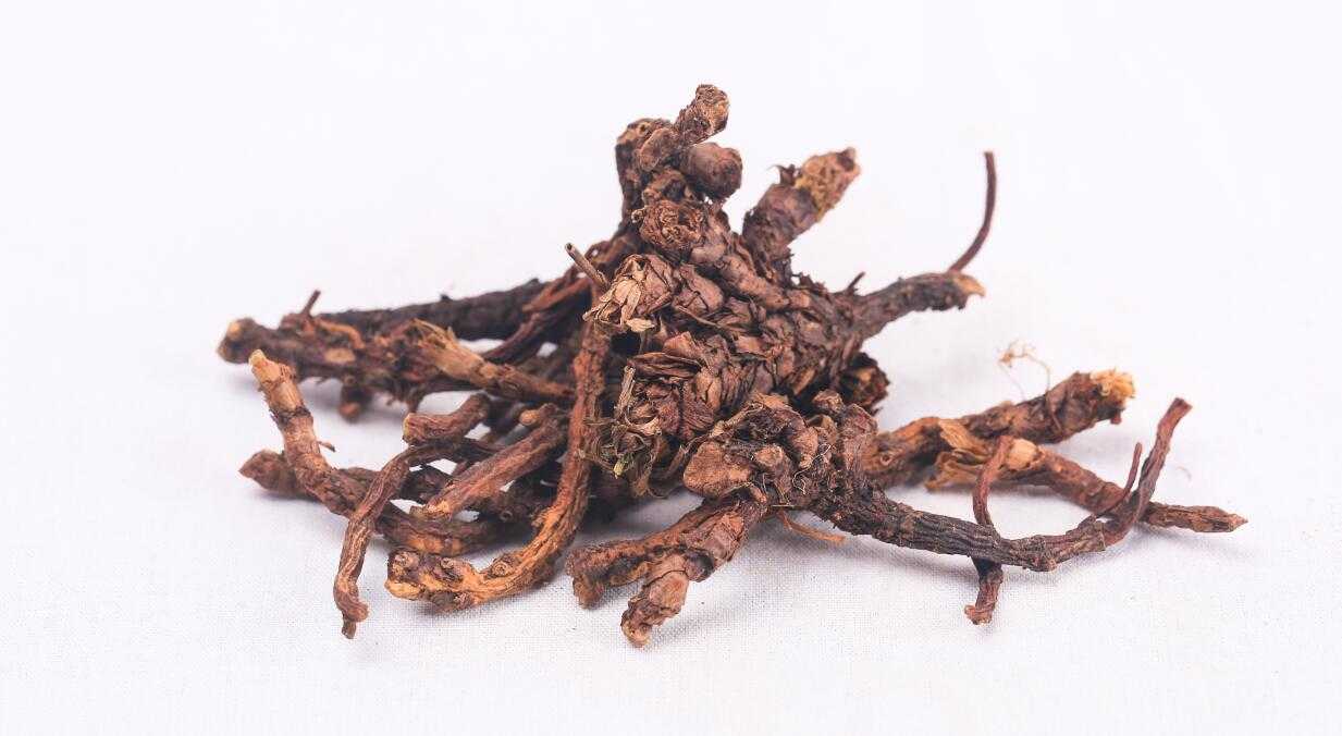 胡黄连图片