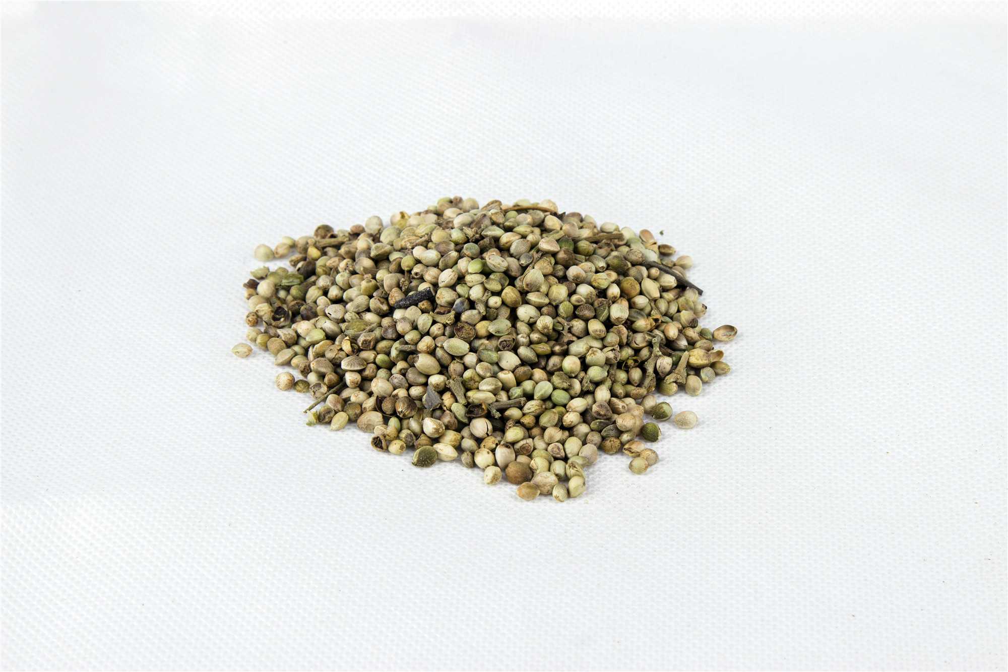 火麻仁图片