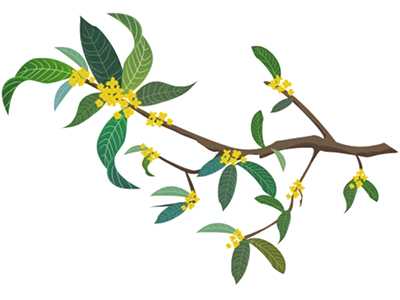 天香月染桂花秋