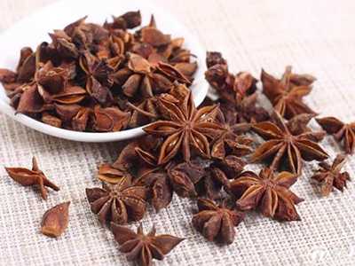 大小茴香气味近 入药茴香小居多