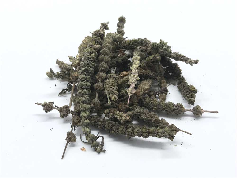 荆芥穗图片