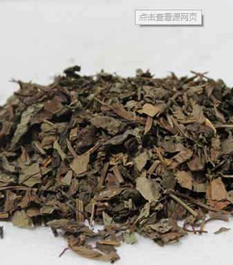 金龙胆草图片