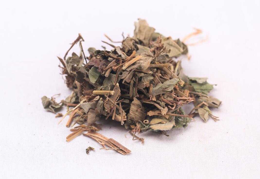 金钱草图片