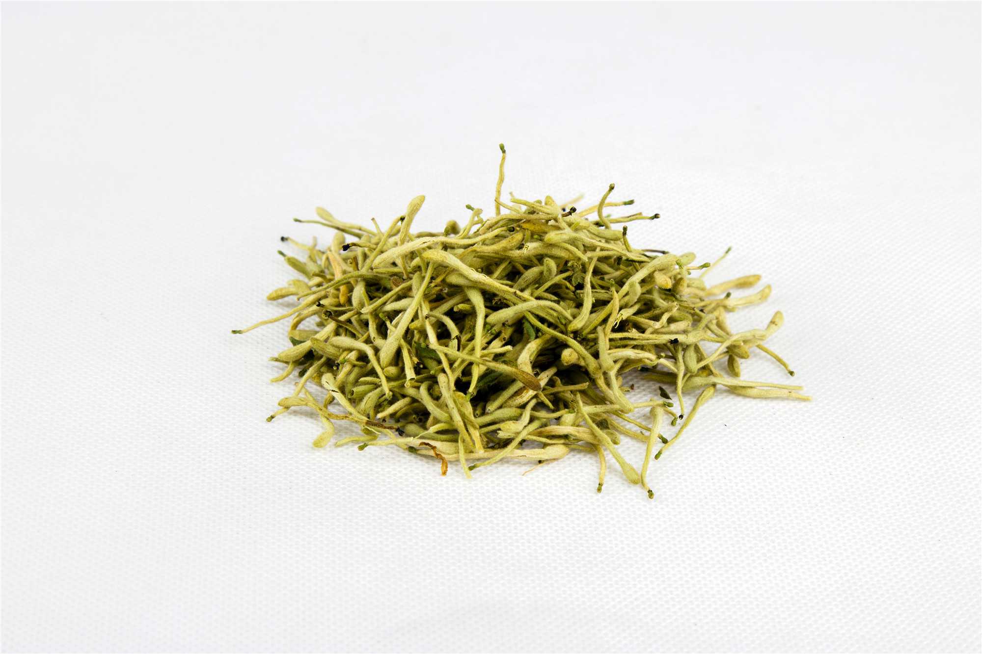 金银花图片