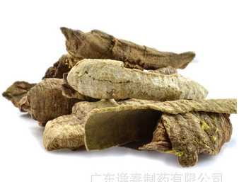 救必应图片