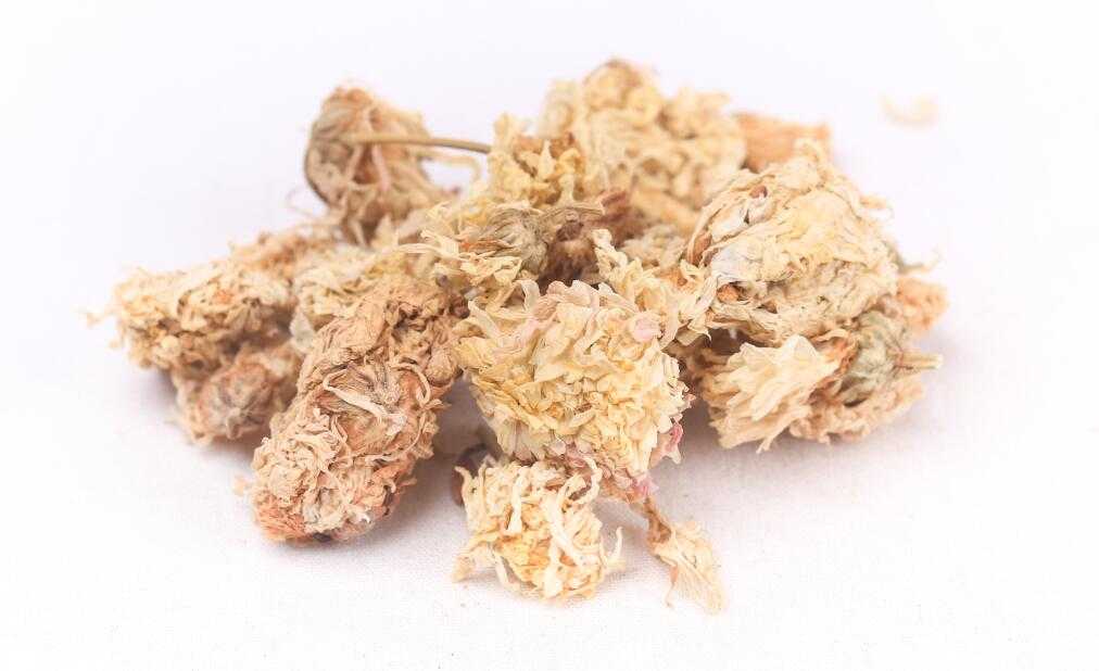菊花图片