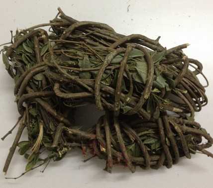 扛香藤图片