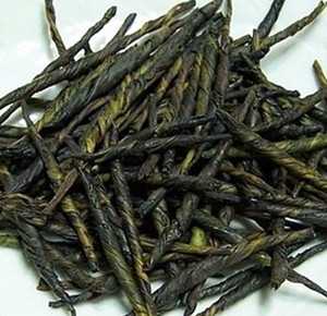 苦丁茶