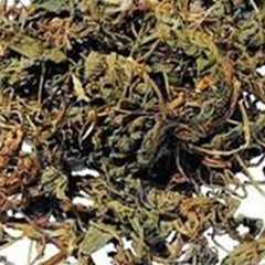 莱菔叶图片