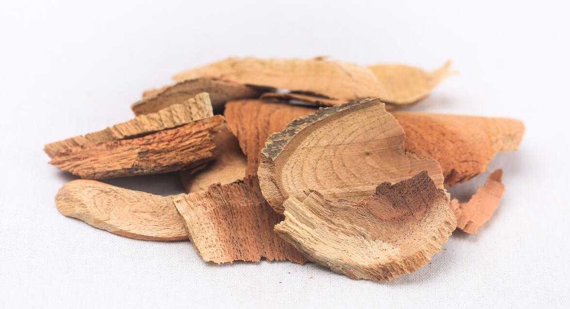 雷公藤图片