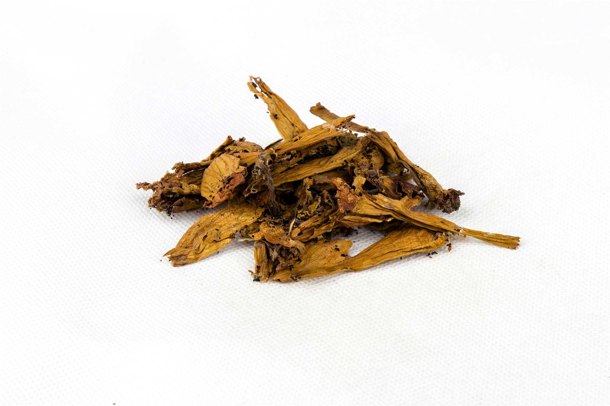 凌霄花图片
