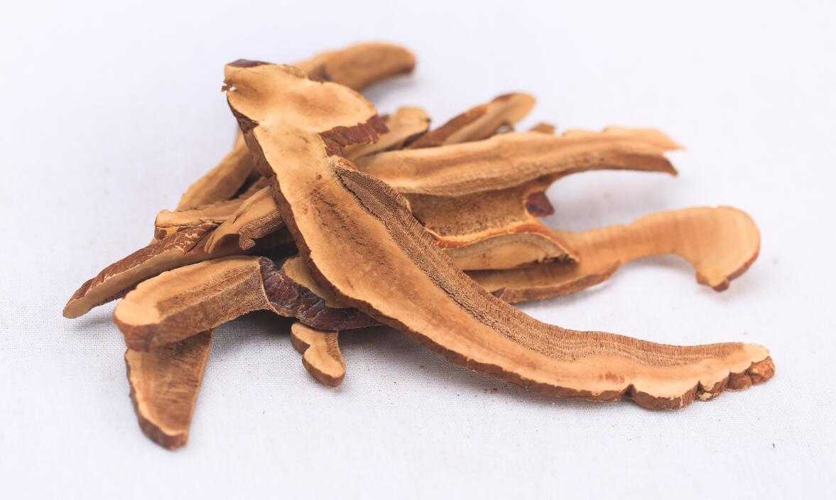灵芝图片