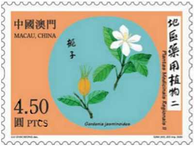 银朵馥馥栀子花