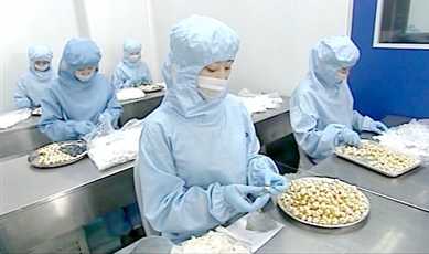 国家级非遗天津达仁堂安宫牛黄丸制作技艺