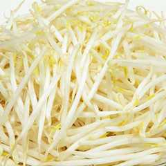 绿豆芽