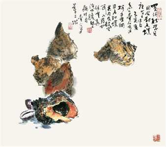 图说海洋本草之海螺