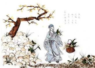 画说中医药文化之茵陈解毒汤