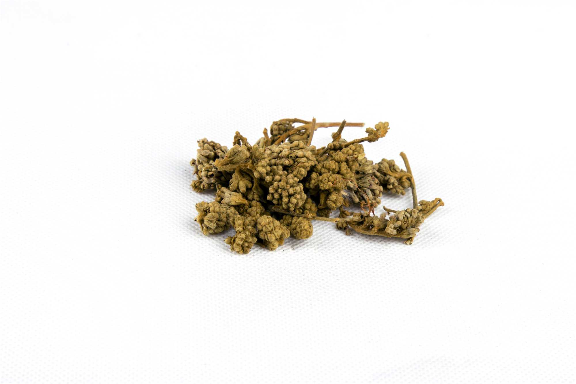 密蒙花图片