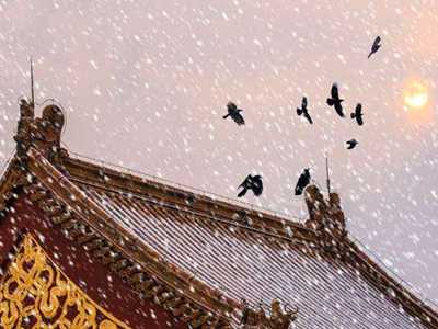 扫将新雪及时烹